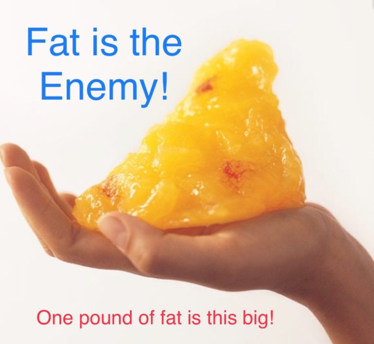 Fat is the Enemy! Understanding Inside Fat - Dr. Chris Saunders MD